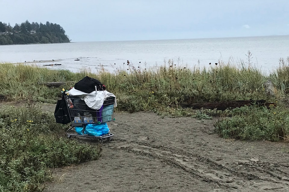 250219-pqn-shopping-cart-beach