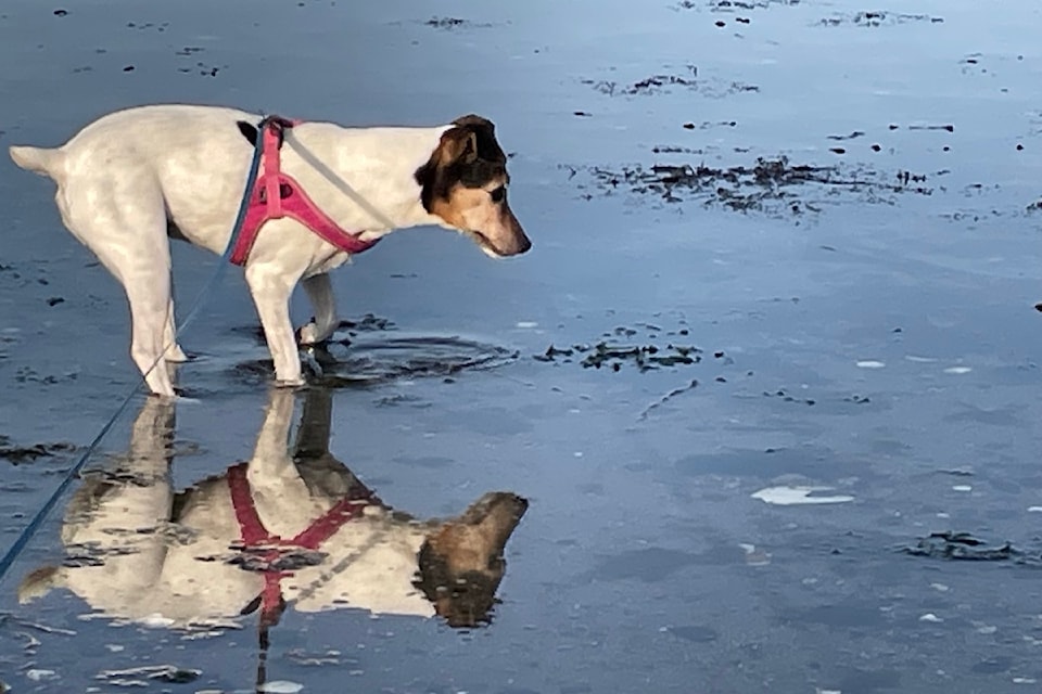 250618-pqn-jrt-reflection-1