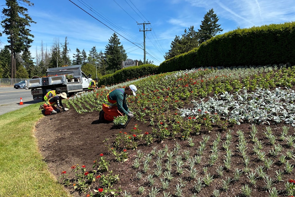 250625-pqn-parksville-planting