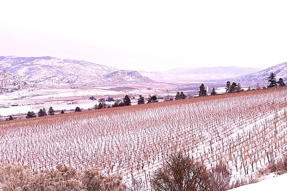 250319-winterinwinecountry-hestercreek