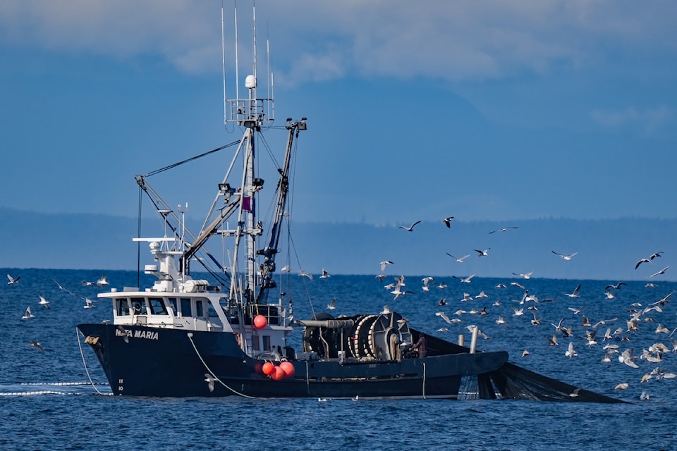 z9n_3602-nita-maria-test-fishery