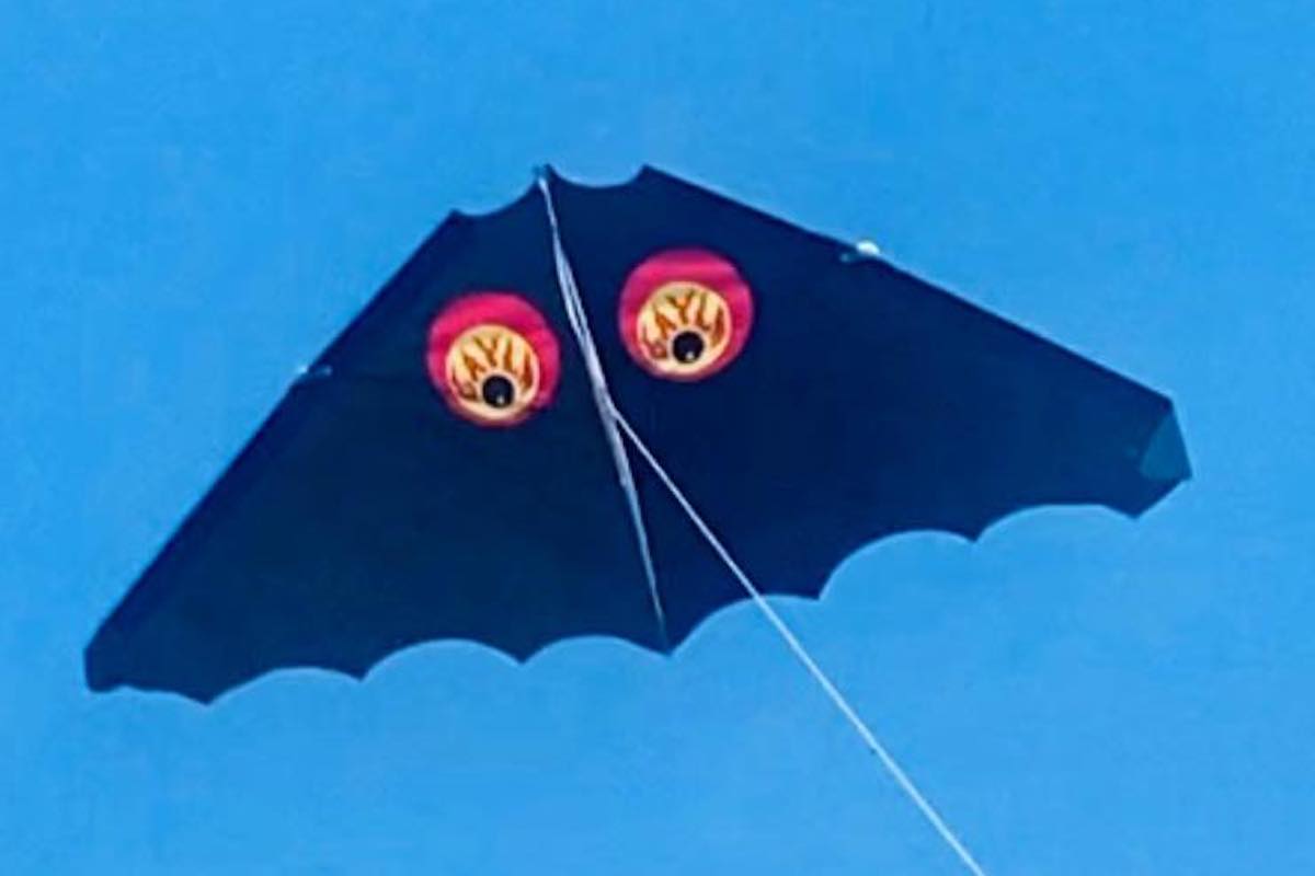 WOLF: Perhaps it's time to just go fly a kite