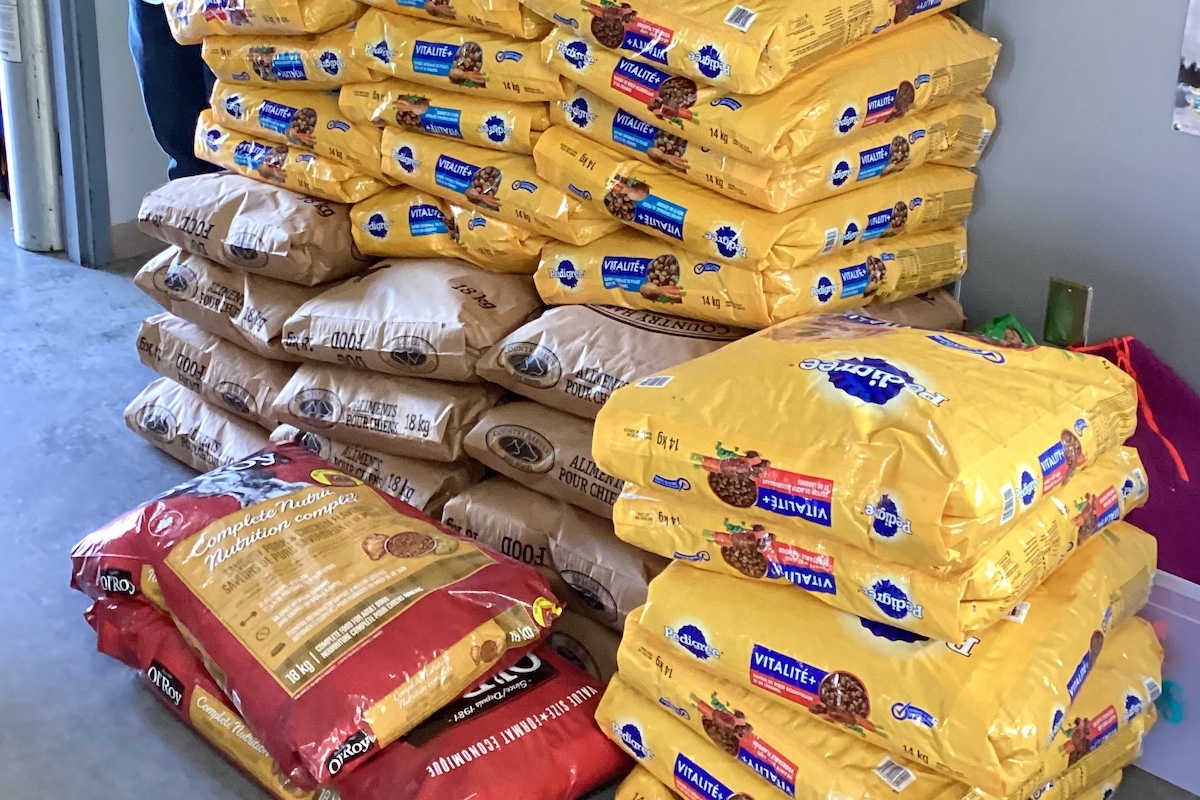 WOLF: It's still not hard to find good in the world