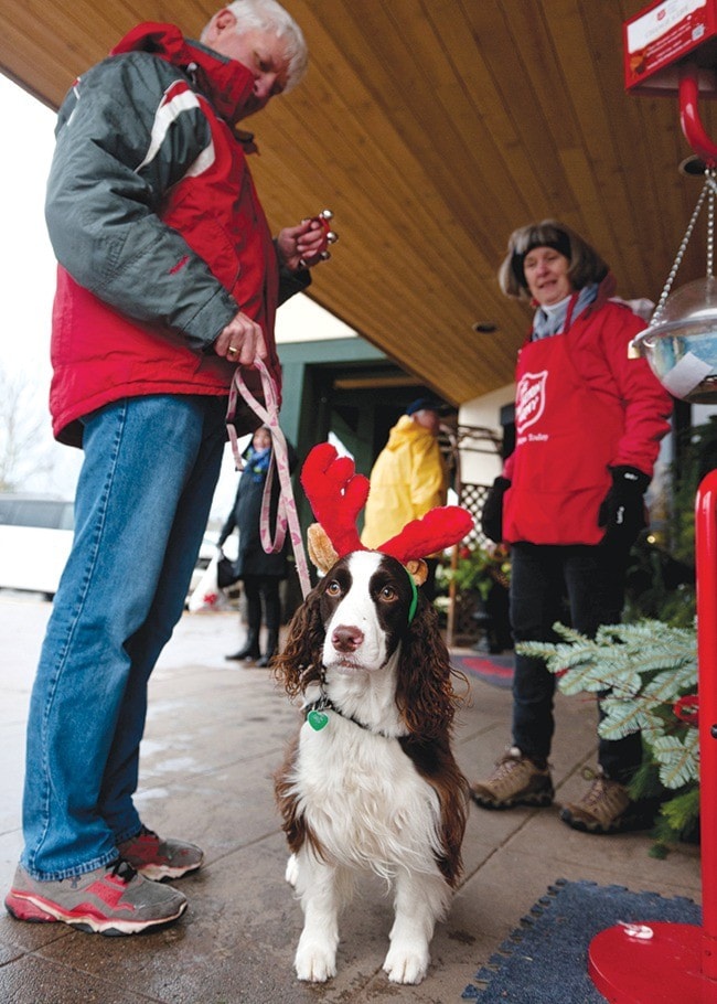 24284parksvilleWEBantlerdog-jr-dec12