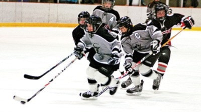 31307parksvilleminorhockey1