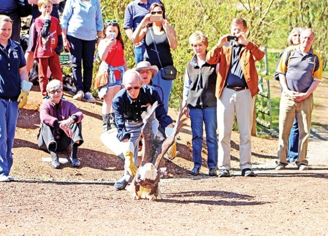 35199parksvilleWEBeaglerelease1-lc-apr12