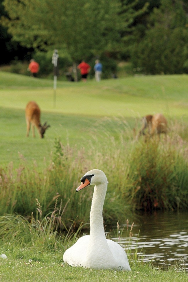 38121parksvilleWEBfairwindscert-subm-sept16