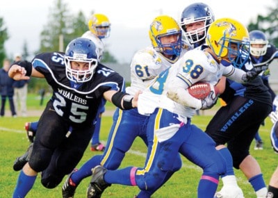 46805parksvillefootballgrab