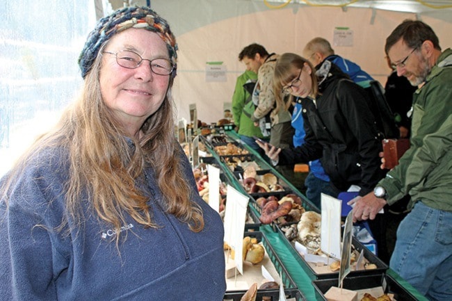 52801parksvilleWEBmushroomfest-jh-oct16