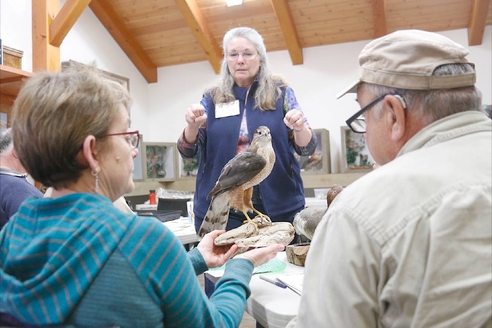 web1_170401-PQN-M-BirdWatchingClass-crop-ak-170401