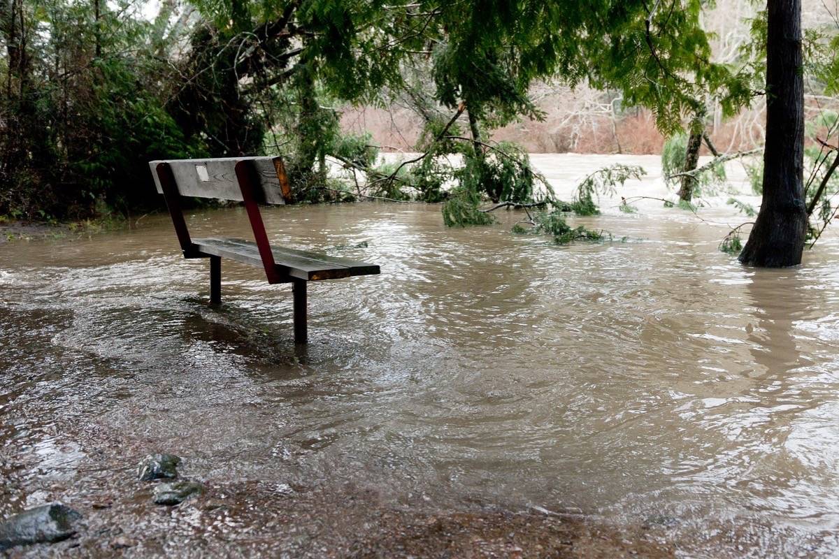 A viewing bench alongside the Englishman River off Plummer Road in Parksville is swamped by high water Monday morning, Jan. 29, 2018. — J.R. Rardon photo