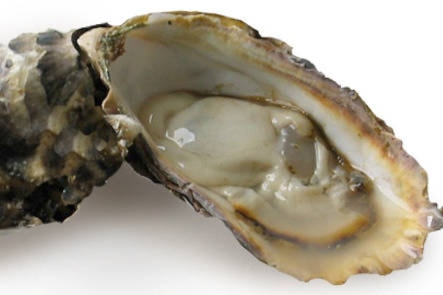 13658100_web1_oyster-sub-apr10