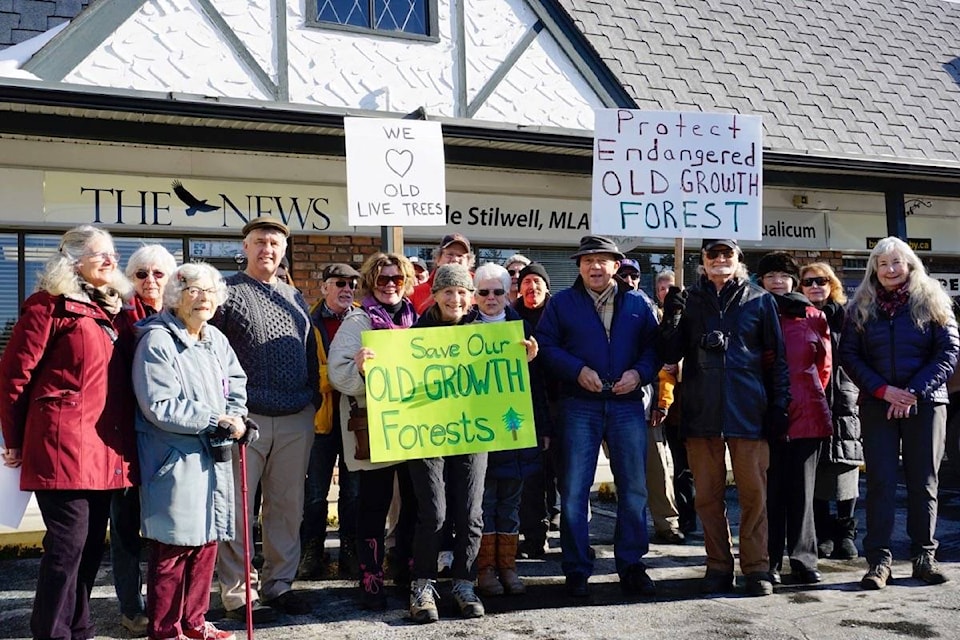 15445550_web1_190206-PQN-M-old-growth-protestors