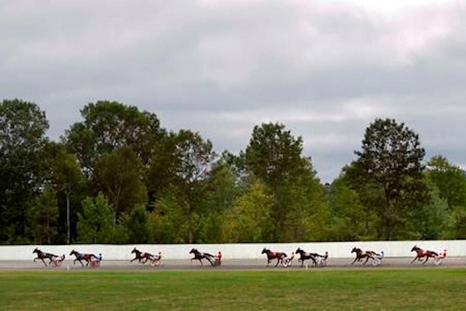 16289111_web1_190405-CPW-horse