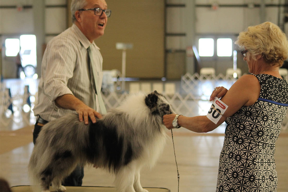 17279261_web1_190618-PQN-dog-show-12