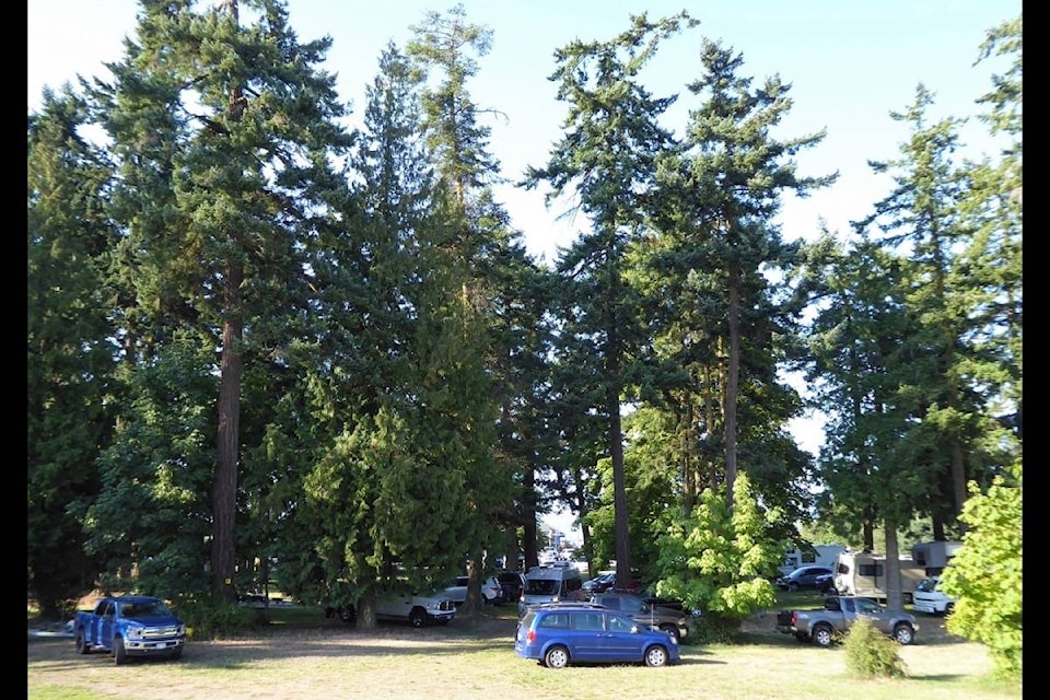 18224249_web1_190823-PQN-M-Vehicles-parked-under-eagle-tree
