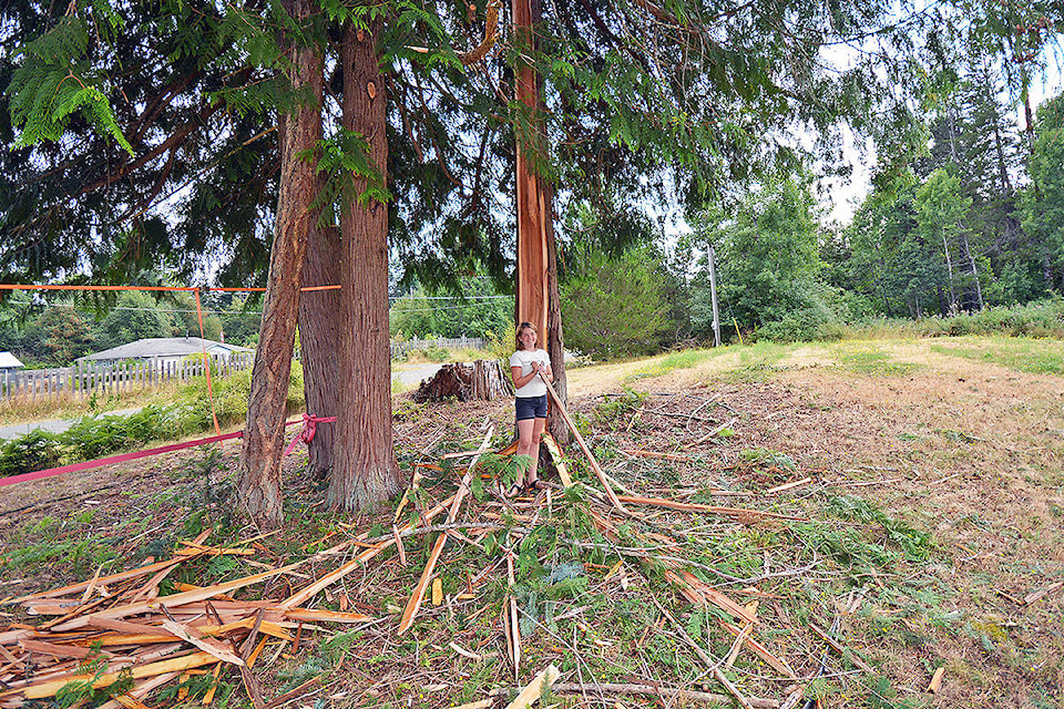 22300767_web1_200805-PQN-photo-lightning-trees_1