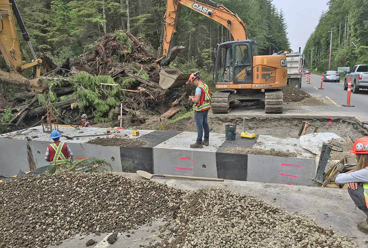 Frog tunnels installed near Tofino to keep amphibians safe while
