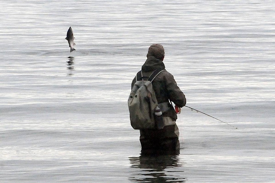 An angler watches a salmon jump out of the water near Qualicum Beach. (Michael Briones photo)