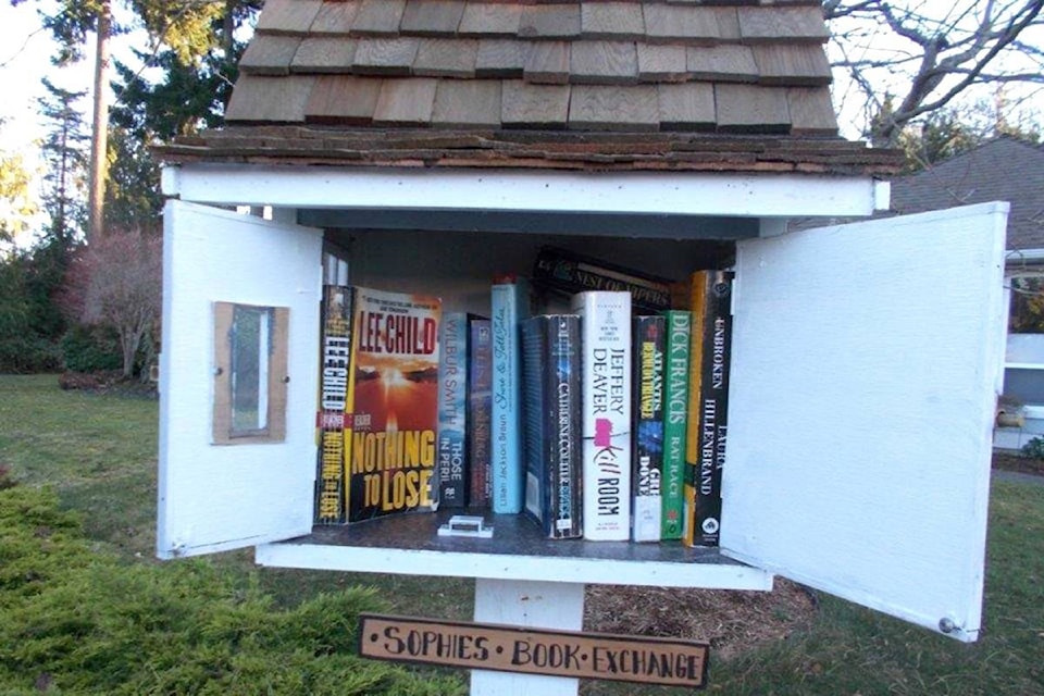 23991982_web1_210127-PQN-Little-Free-Library-library_1