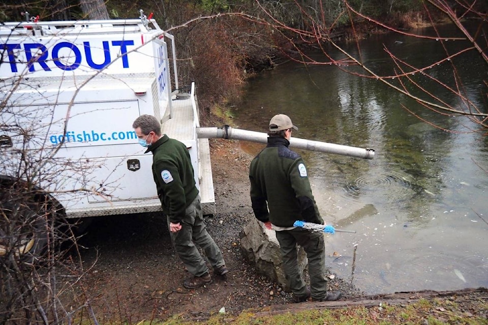 Members of the Freshwater Fisheries Society of B.C. set up the tube where rainbow trout were released into Spider Lake on Thursday, March 4, 2021. (Michael Briones photo)