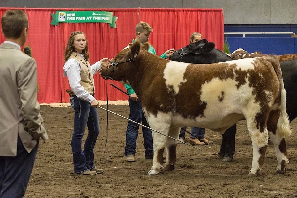 25206739_web1_20210518-BPD-PNE-cattle-2019.MRN