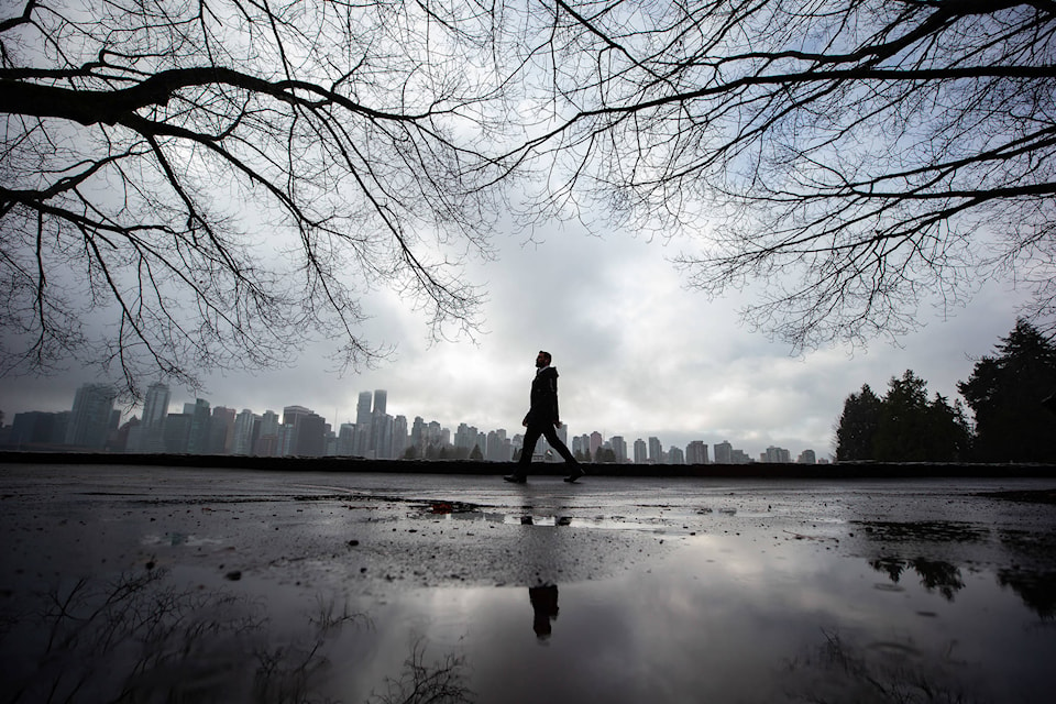 26207157_web1_210819-CPW-Man-bitten-coyote-Stanley-Park-skyline_1