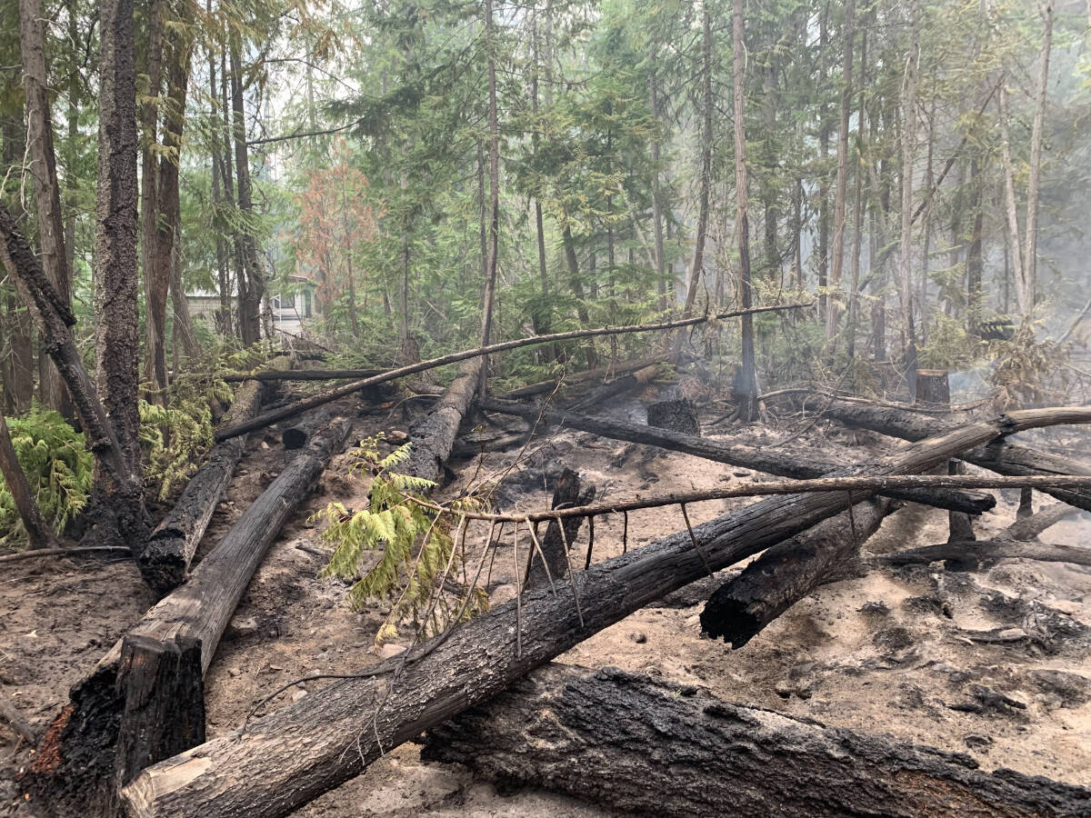 The Kutasewichs trailer can be seen through the trees in the aftermath of the fire. Submitted photo
