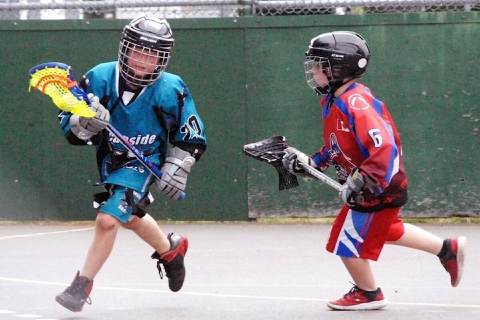 27838259_web1_220119-PQN-Box-Lacrosse-Registration-Lacrosse_1