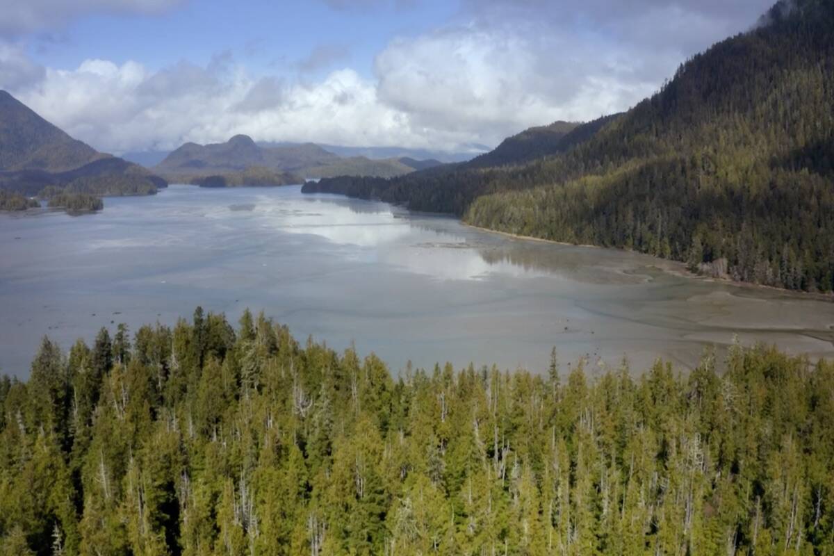Vancouver Island's Clayoquot area is featured in the documentary; Carbon – The Unauthorized Biography. A version of the film is now streaming on CBC Gem. (Photo courtesy of Carbon – The Unauthorized Biography/ Handful of Films)