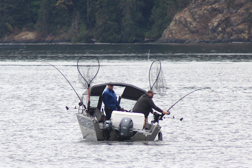 Alberni’s Somass River sockeye return doubles its original forecast Parksville Qualicum Beach News Alberni’s Somass River sockeye return doubles its original forecast Parksville Qualicum Beach News