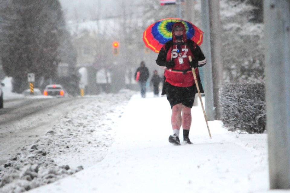 31343724_web1_221221-PQN-Snow-in-Parksville-snowyconditions_4