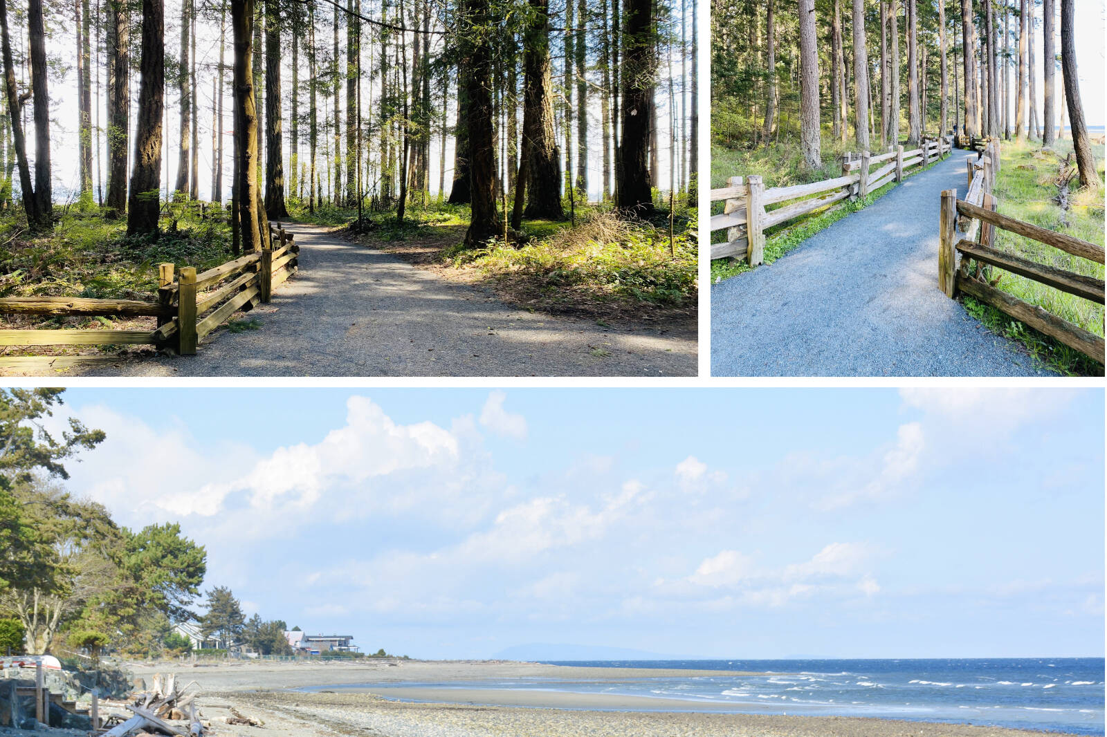 31797403_web1_230207-WCT-3DaysInParksville-NEW_3