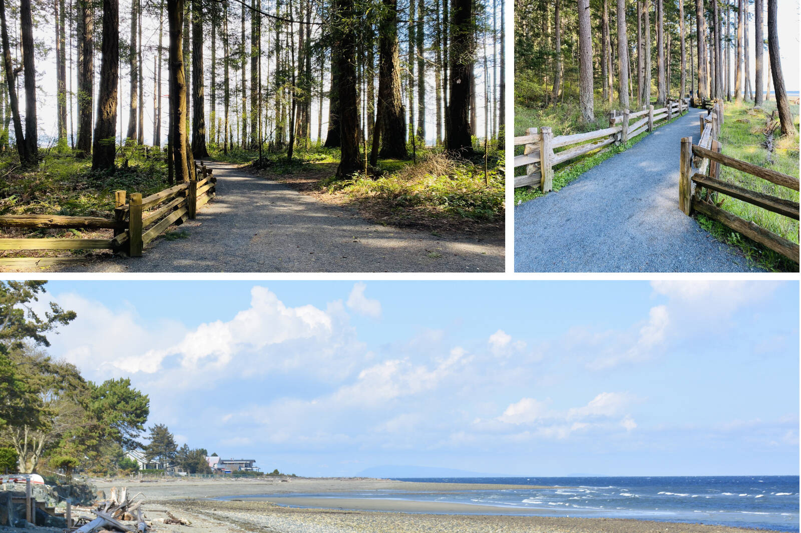 Campsites at Rathtrevor Provincial Park are never far from the beachfront trail and wide-open beaches. Jen Blyth / West Coast Traveller photos
