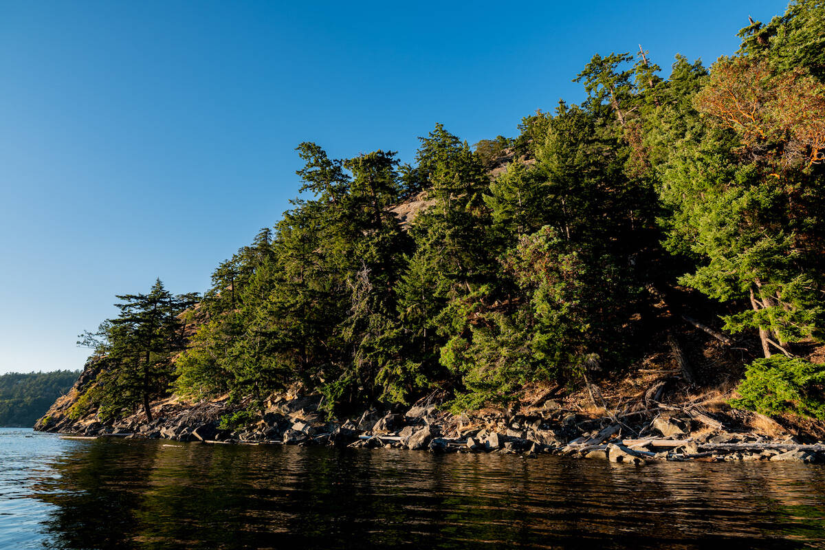 The Mount Fisher Bluffs on Saturna Island have been protected thanks to a recent land purchase. (Courtesy of the Nature Trust of British Columbia)