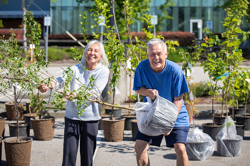 surrey-tree-sale-may-2023