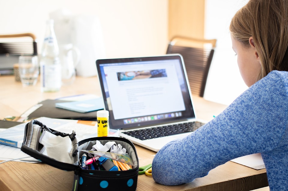online-school-stock