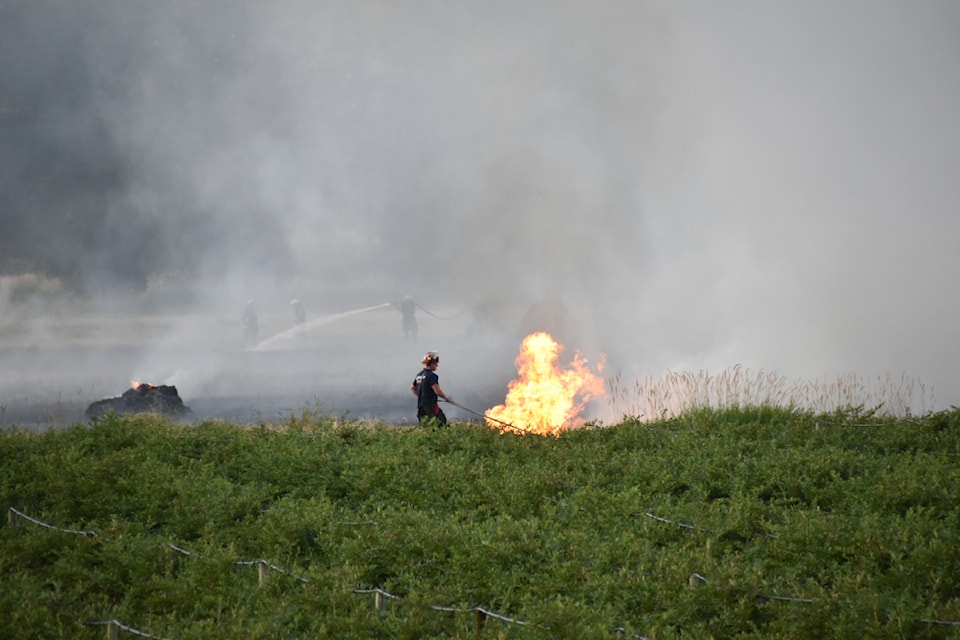 Surrey firefighters battle a brush fire off Colebrook Road in Surrey Wednesday evening (July 24).