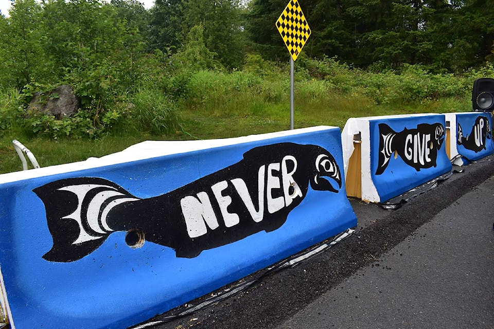 A new mural was unveiled at Maddaugh Elementary on Wednesday, June 26 spelling out the words 'Never give up' on pictures of salmon to represent resilience and pay homage to the cultural significance the fish have to the Katzie First Nation.