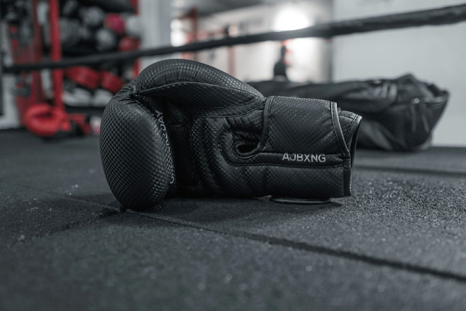 241003-pan-boxing-gloves-unsplash