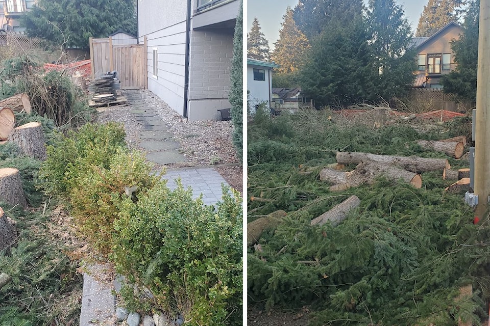 tree_cutting_surrey