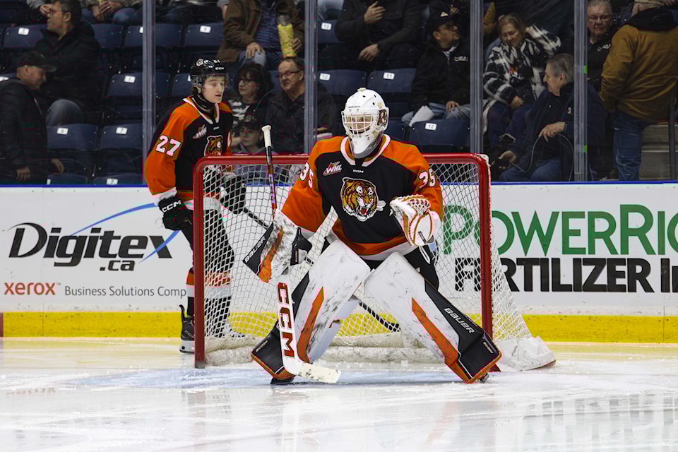 250130-pan-harrison-meneghin-tigers-2-ii