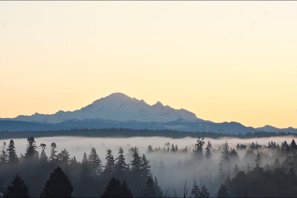 This image was taken just after 8 a.m. on Jan. 6, 2025, from Balsam and Pacific Avenue, looking towards Mount Baker. Sydney McCracken says the freezing fog created 'the most incredible droplet ice' on everything.