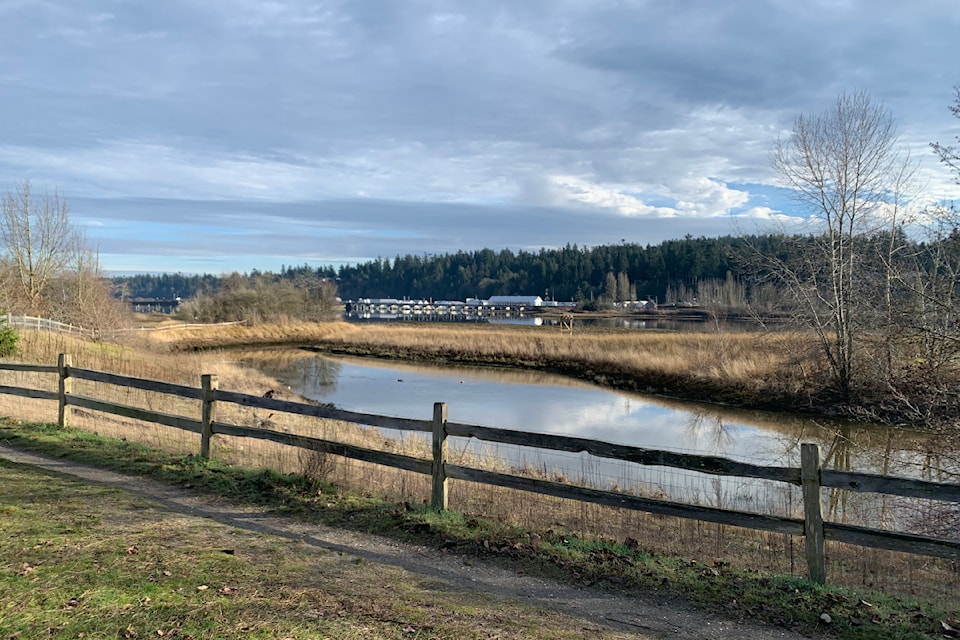 A view of Crescent Beach Marina from Blackie Spit Park on Jan. 9, 2025.