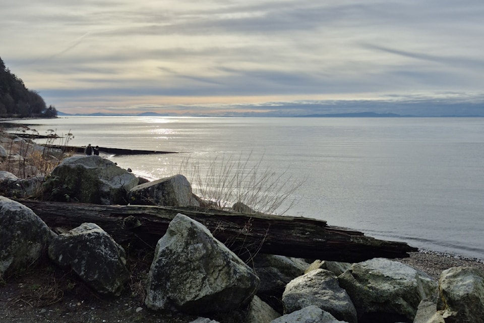 crescent-beach-dec31-2024-crop-lydia-stark