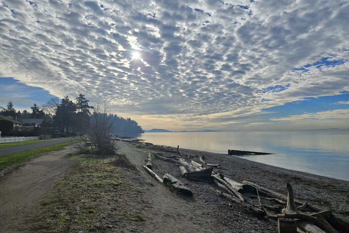 THROUGH YOUR LENS: Peace Arch News reader photos