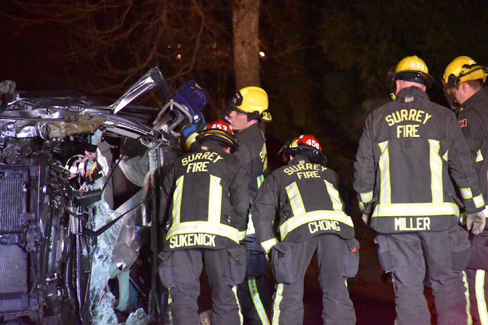 Surrey RCMP Provincial Operations Support Unit officers are investigating a single-vehcile crash in Surrey Sunday night (Jan. 26). 
