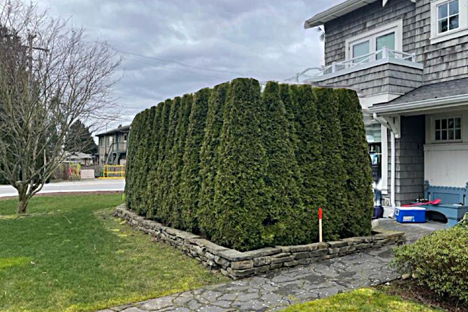 A city stake identifies the extent to where work to install a planned walkway will impact Jolene Funke's property. 