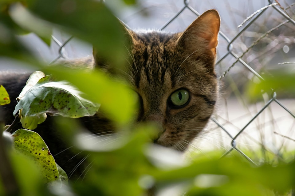 casey-suter-wawzducqqzo-unsplash