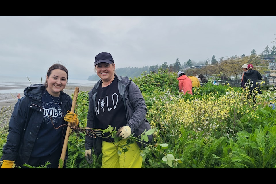 Volunteers with the Lower Mainland Green Team helped clear White Rock's West Beach of invasive blackberry on Saturday (May 17).
